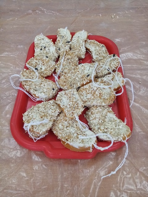 PHOTO 2021 01 18 10 12 17